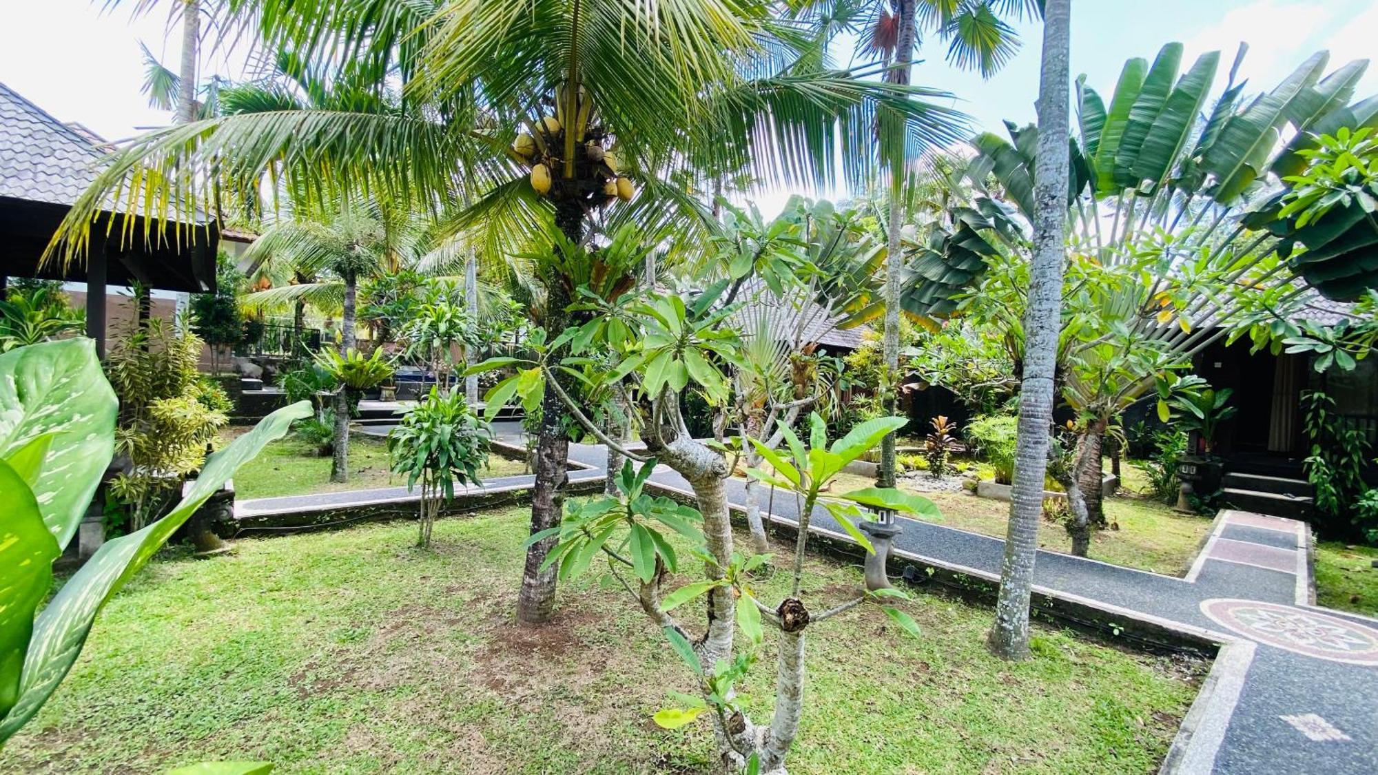 Dong Loka Guesthouse Bali Carangsari Exteriér fotografie